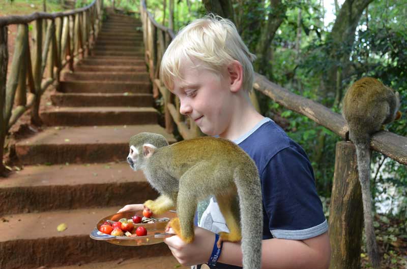 Monkey Jungle is a wonderful park - family trip – Casa-22.com